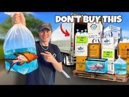 BUYING A PREDATOR FISH FOR MY SALTWATER AQUARIUM!!!