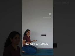 Day 7 of 21 days of yoga, Marjarasana, Cat and cow pose, Tiger breathing, Back pain relief yoga