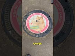 Meme dog monument to Kabosu the DOGE in Japan