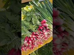 The best season! #farmersmarket #farmersmarketfinds #mediterraneandiet #springtime #seasonal #spring