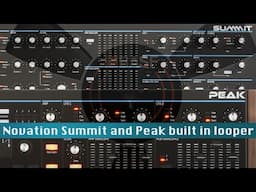 The Novation Peak and Summit have a built in lofi looper ! (lofi delay)