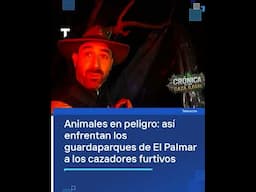 ANIMALES EN PELIGRO: así enfrentan los guardaparques de El Palmar a los cazadores furtivos