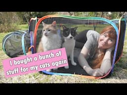 Cheering myself up by buying things for my cats