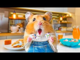 Hamster Escape the Chaos Candy Sweet  Maze | Hamster Maze