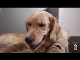 WCC #Shorts: #PressPlay for a #BetterDay! Happy Monday! #furtheloveofveterans
