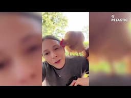 When Pets Jump Like Pros | hen Fail Like Goofs 😂💥