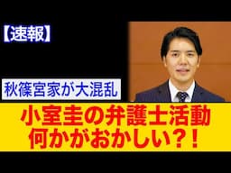 【海外の反応】小室圭の実態に国民激怒！誰がこの劇場を支えている？【ゆっくり解説】