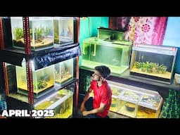 Room Tour Update | Watch all Problems and Updates in Aquariums & Fish