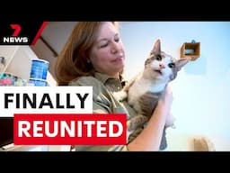 An elderly cat finally reunited with his owners after missing for three years | 7NEWS