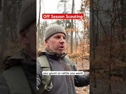 Part 8 - Off Season Public Land Scouting #mobilehunter #hunting #saddlehunting