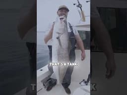 White Seabass Personal Best for Andy  #fishingcalifornia #fishing #whiteseabass