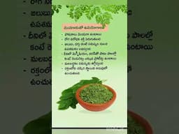 మునగాకు ఉపయోగాలు