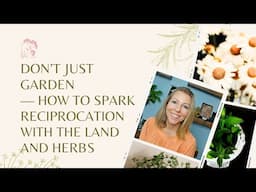 Don’t Just Garden—How to Spark Reciprocation with the Land and Herbs