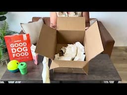 Use your Pupford Shipping Box as Enrichment!