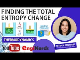 Thermodynamics | Finding Total Entropy Change