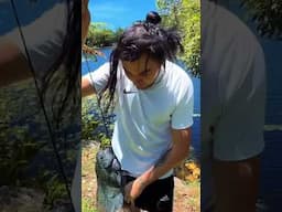 Fishing for green Texas cichlid in Aus #aquariumfish #fishing #asme #expticfish #aquariumlovers