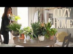Cozy Home Habits - Simple Steps To A Tranquil Living Space