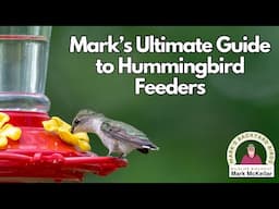 Mark's Ultimate Hummingbird Feeder Guide