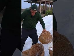 Types of Salt They Produce in their Salt Farm #fyp #shorts #shortvideo