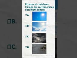 TCF (Test de connaissance du français) Compréhension orale (4) #francaisfacile #learnfrench