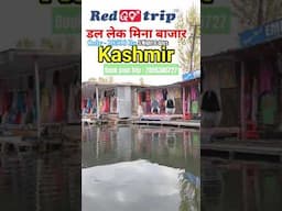 Kashmir trip package #kashmir #trip #viralvideo #sonmargvalley #gulmarg #pahalgam #kashmirtourism
