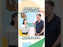 超有畫面的英文形容詞！piglike、childlike這樣用