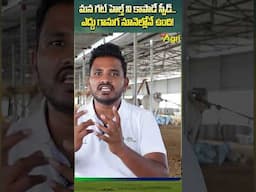 మన గట్ హెల్త్ ని కాపాడే స్పీడ్ #ToneAgri #ColdPressedOil #EdduGanugaNune #KobbariNunne #OilBenefits