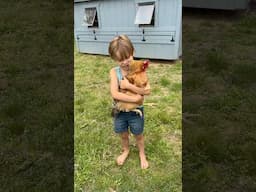 Have you seen my chicken?