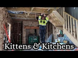 Kittens & Kitchens