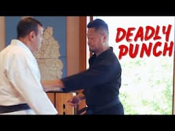 Crazy Deadly Punch by A Japanese Karate Master!