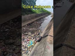 The Trash Kabooms, Junior Eco Warriors Still Working Hard