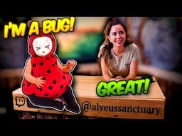 Filian Becomes A BUG FOR A DAY At Alveus Sanctuary! (Ft. Maya Higa)