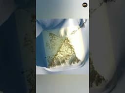The Weirdest Things Found Inside Ice 🍦