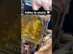 Adieu la souris 🐭🐁