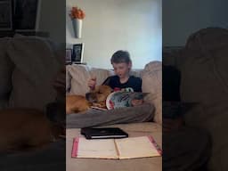Cozy Study Session with a Loyal Canine Companion