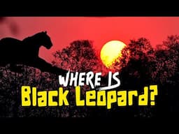 The Black Leopard Hunt Continues… Will I Find It This Time? - 4K Video Hindi | हिन्दी