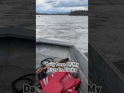Daily Dose Of My River In Alaska #enigmaticgwichin #alaskanative #alaska #motivation #shorts