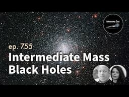 Intermediate Mass Black Holes