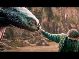 Hiccup And Toothless' Magical First Meeting - How to Train Your Dragon Clip (2025)