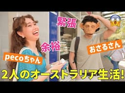英語学習中のpecoちゃんと夫がオーストラリアで留学?!  語学学校からホームステイまで、二人の留学生活のリアル😆〔#1277〕