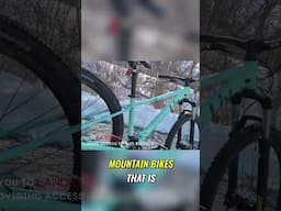 Live Tempt II: The Only Women-Specific Entry-Level Mountain Bike?