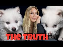 THE DIRE WOLF IS BACK! - THE TRUTH! - Ep 1