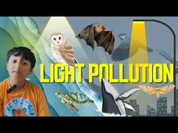 The Dark Side of Light: How Light Pollution threatens wildlife!