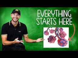 The EMT Lecture I Wish I Had Starting Out