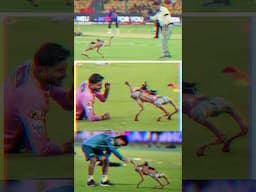 Champak😂 #ipl2025 #ipl