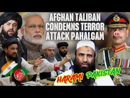 Afghan Taliban Says Pahalgam Attack Disturbs Regional Peace l Taliban Condemns Phalgam Attack