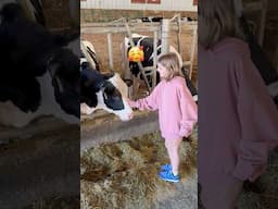 🐮ARE we Best Friends 😍❤️‼️