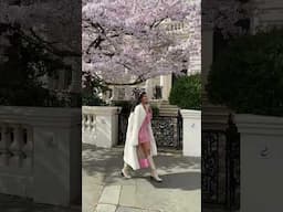 Spring has sprung and blossom season has arrived in London.  1) Stanley Crescent 2 ) Elgin Gardens
