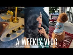 WEEKLY VLOG | Motorcycle Shopping, Home Decor Haul & Designing My Pool