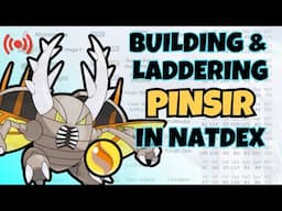 Building & Battling Mega Pinsir in NatDex!